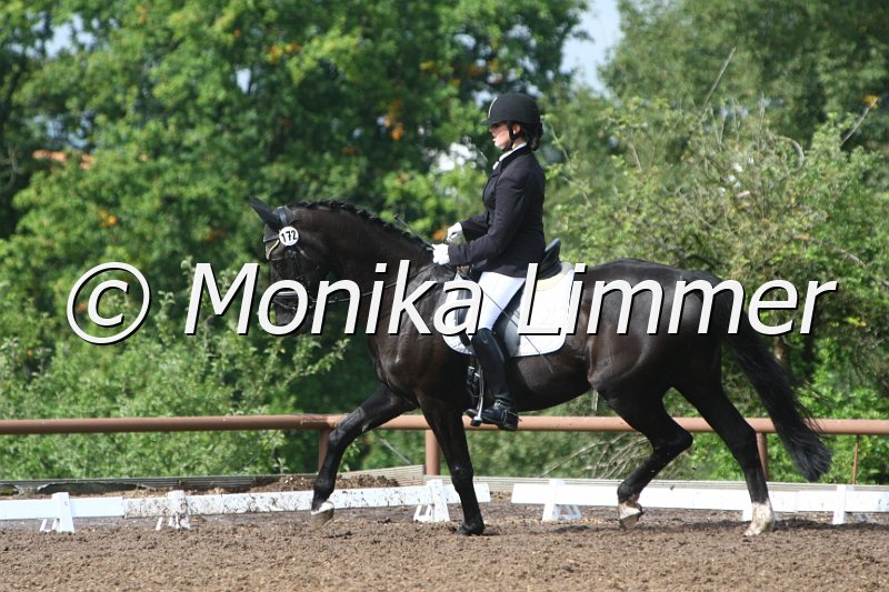 109M3514_Calistro_Dressur E.JPG